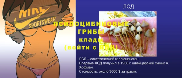 ГАЛЛЮЦИНОГЕННЫЕ ГРИБЫ Медвежьегорск