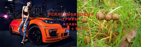 мет Мегион